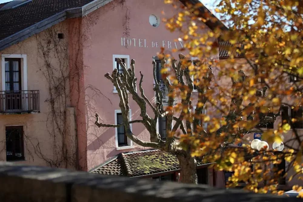 Logis Hôtel de France - Photo 1