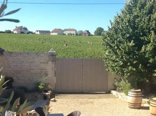 Domaine des Closeaux - Photo 4