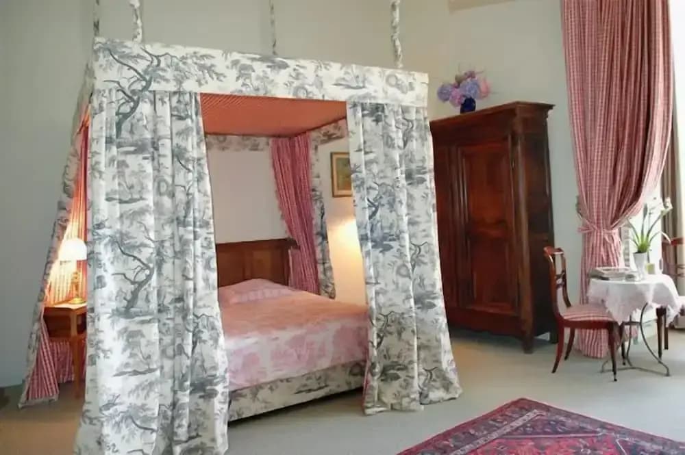 Château Royal de Saint-Saturnin - Miniature 6