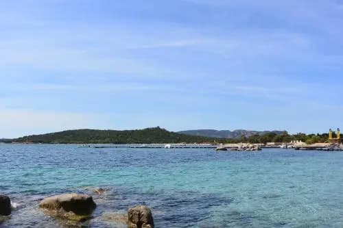 Santi Expertimmo - St Cyprien 1 - Photo 5