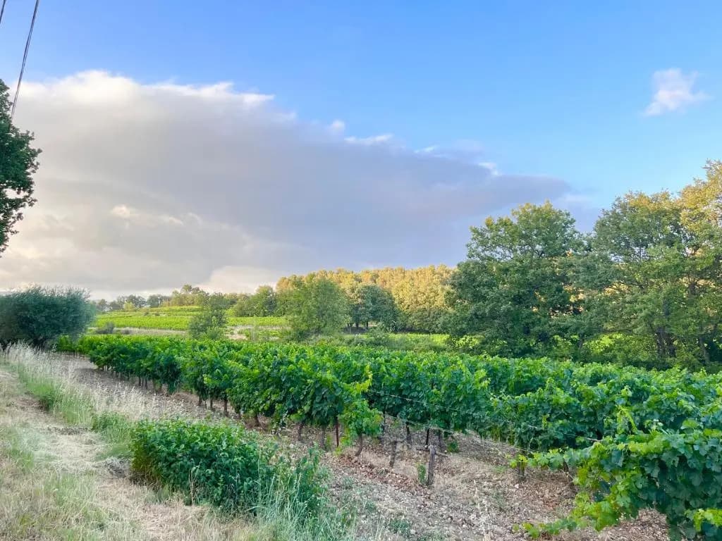 T2 avec terrasse arborée proche LOURMARIN - Photo 3