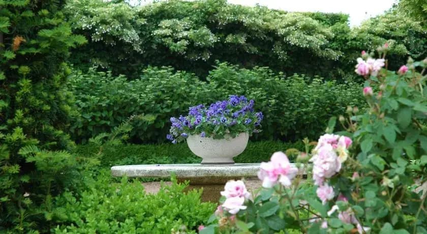 Le Manoir de Presle - Gîte - Photo 4