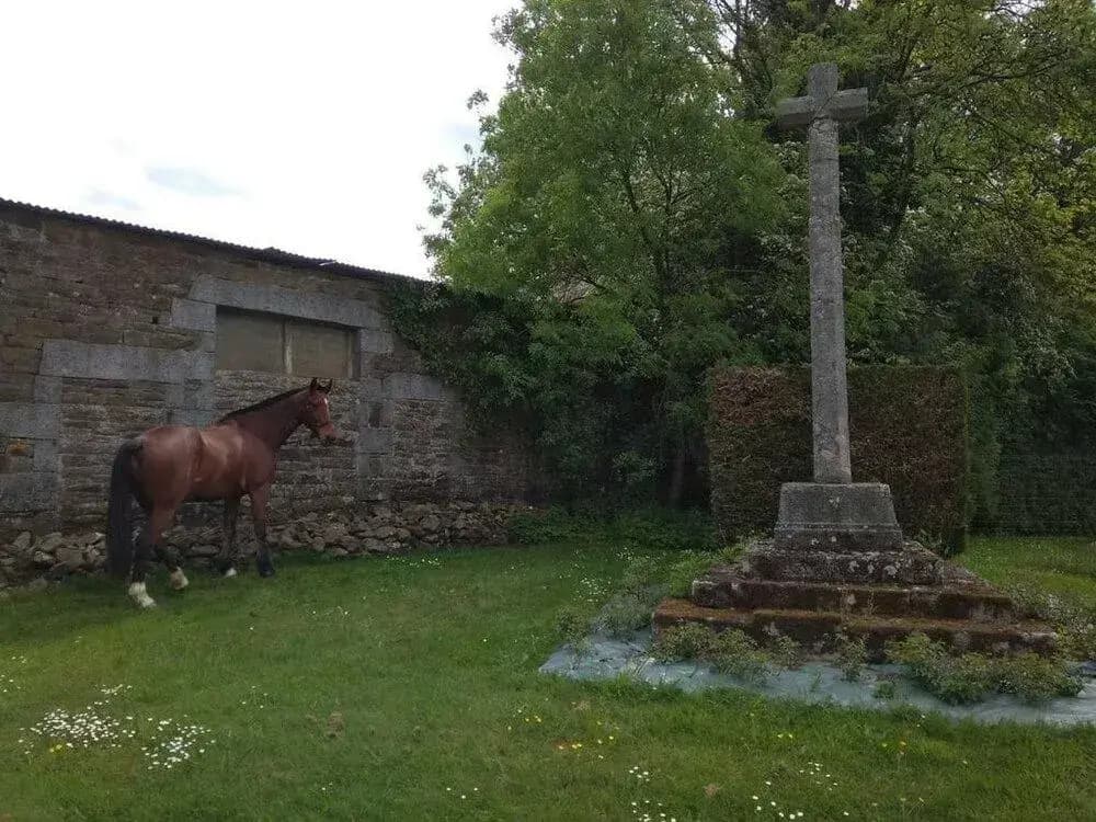 Haras De La Croix D'argent - Miniature 8