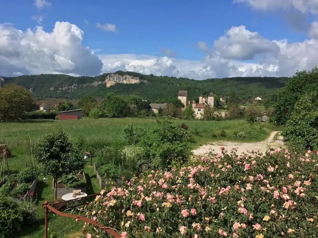 le fleuraguet - Photo 2