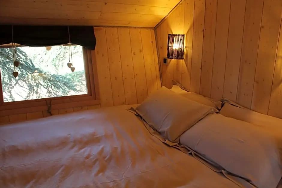 Domaine des Grands Cèdres - Maison d'hôtes - Photo 3