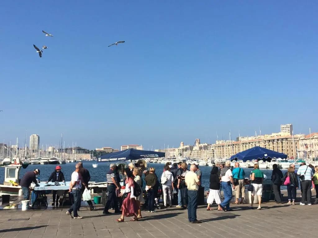 Résidence Néméa Marseille Timone - Photo 2