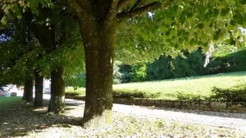 Villa Doria - Photo 1