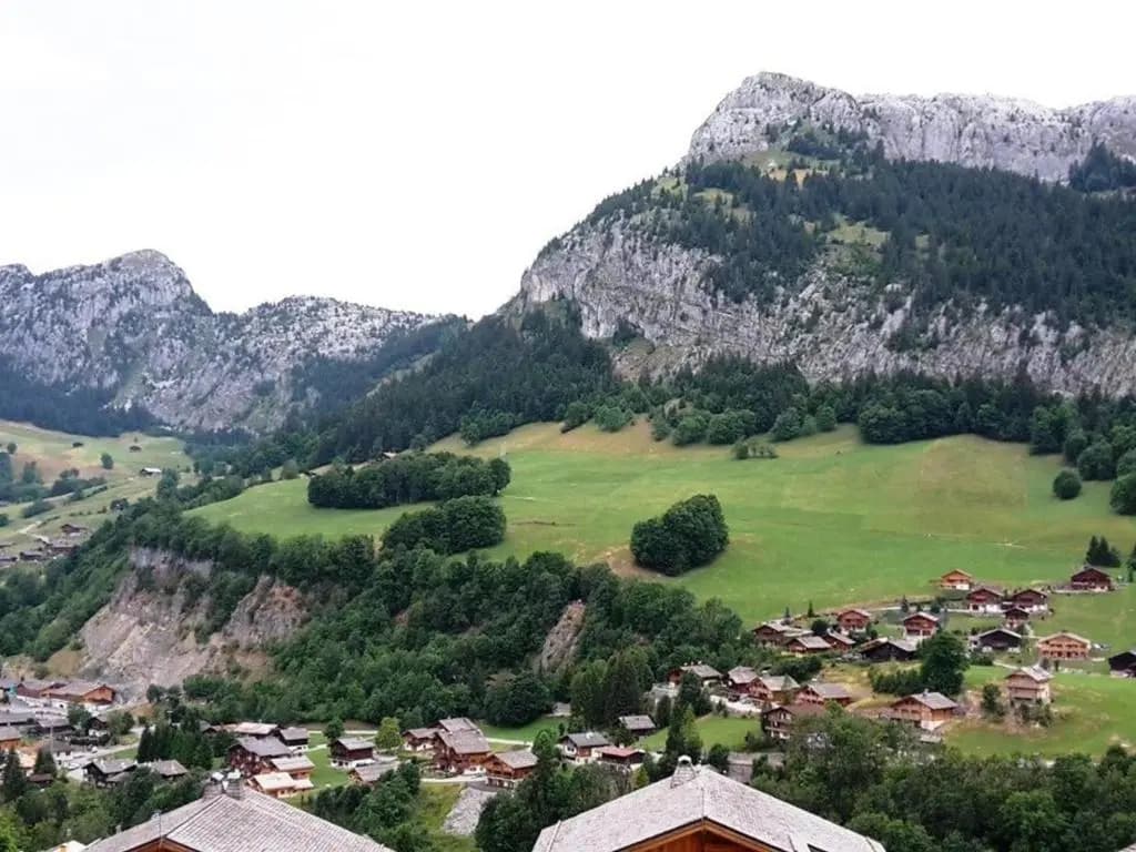 Appartement Le Grand-Bornand, 2 pièces, 6 personnes - FR-1-241-21 - Miniature 7