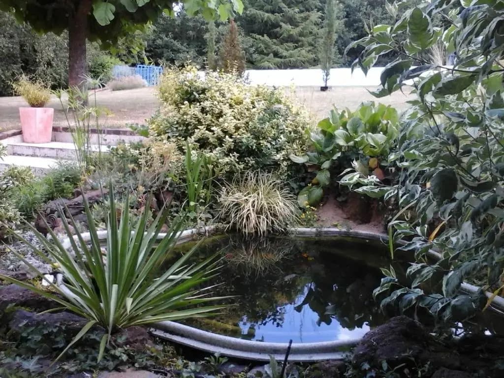 Chambre D'hôte De La Rotterie - Photo 3