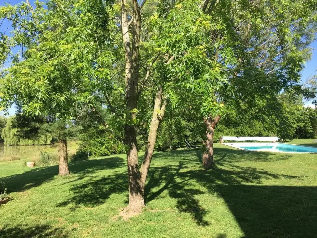 Domaine d'Aromm - Photo 5