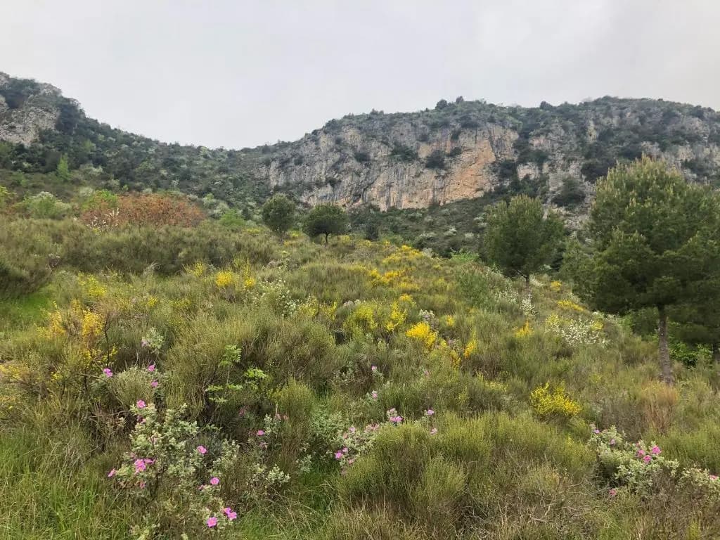 "Aux Balcons du Riou" Avec Vue Mer 180 Degres - Photo 2