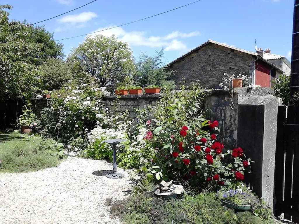 Les Roses Trémières - Photo 5