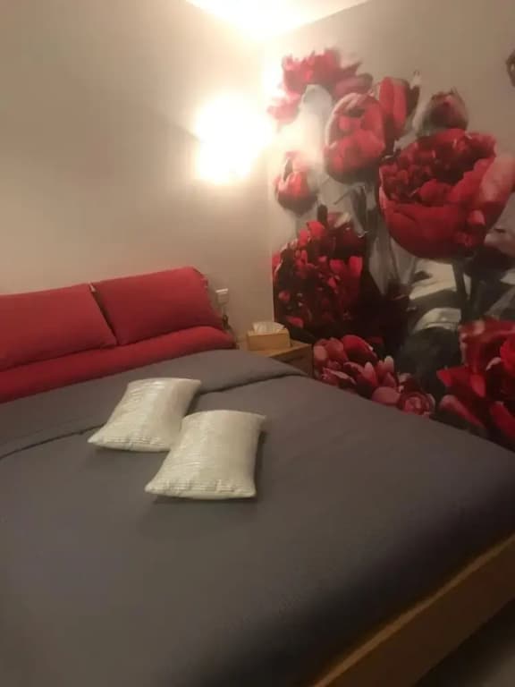 Chambre d'Hôte Pivoine - Photo 3