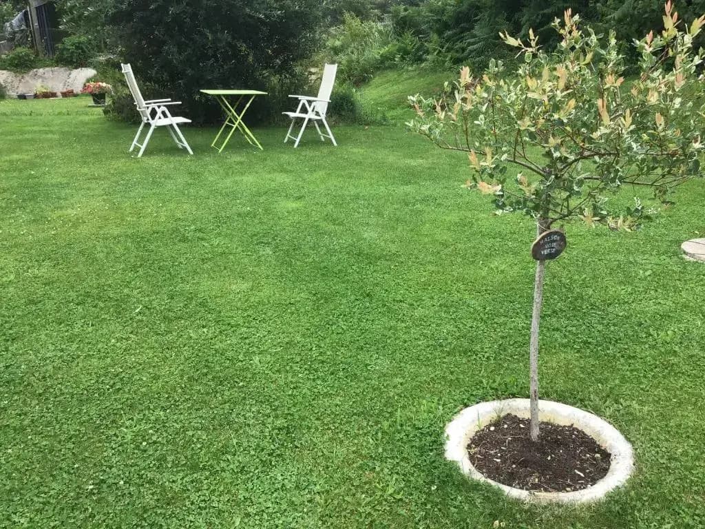 Maison Voie Verte - Photo 5