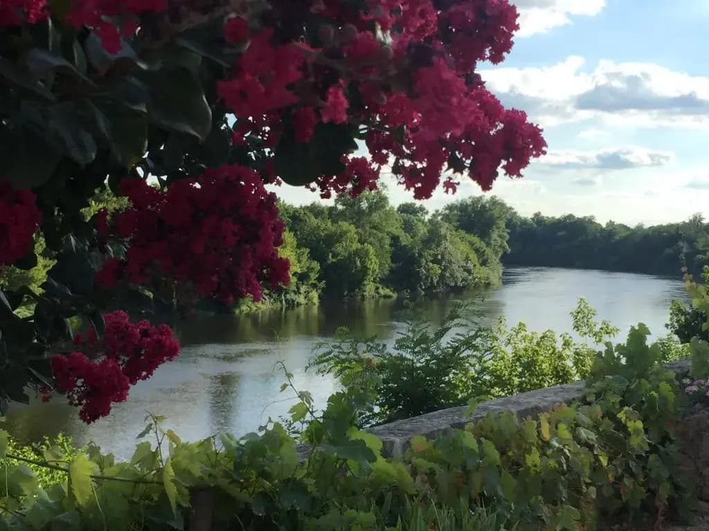 Gîte "Au Bord de l'Eau" - Photo 4