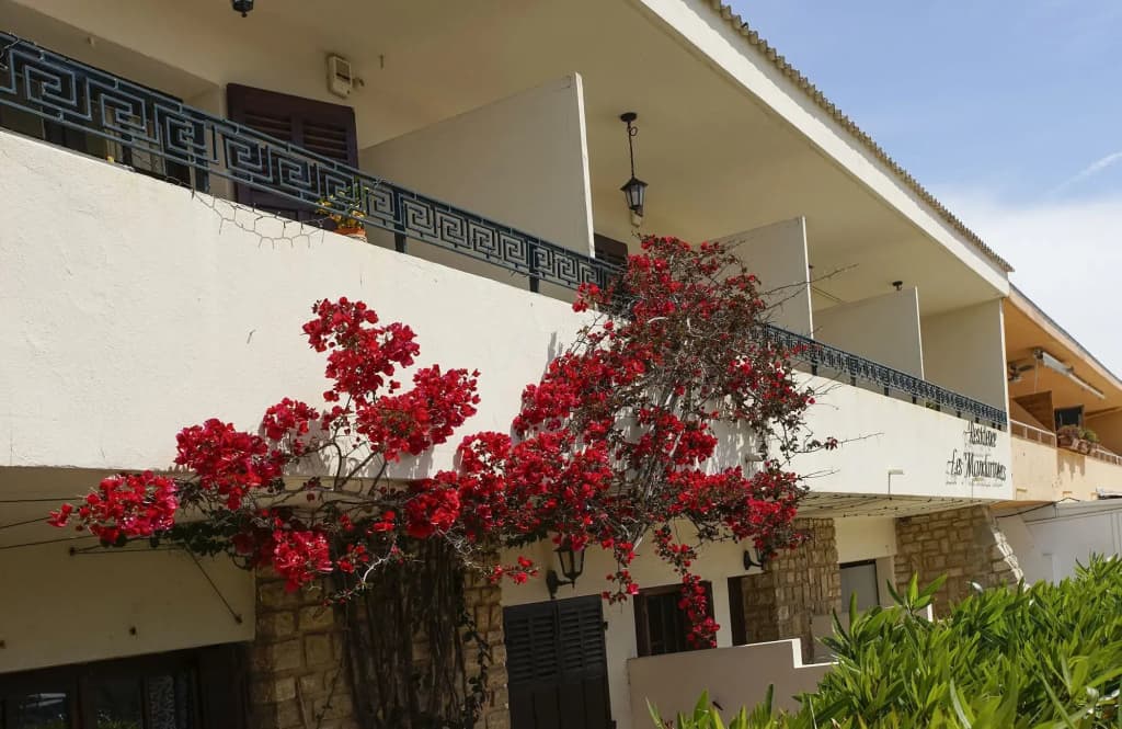 Residence Les Mandariniers - Photo 1