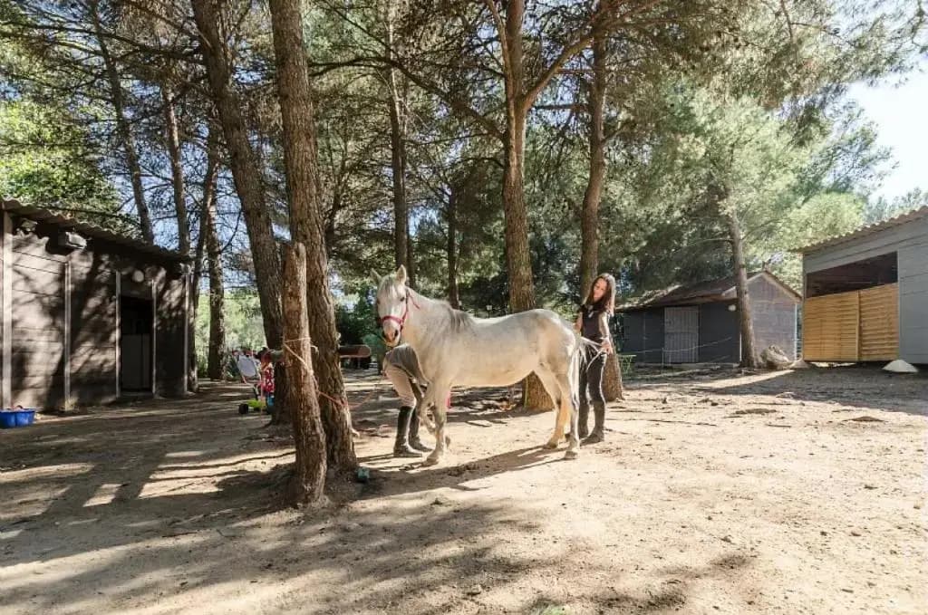 Village Pont Royal en Provence - maeva Home - Studio 5 personnes - Sélectio 824 - Photo 4