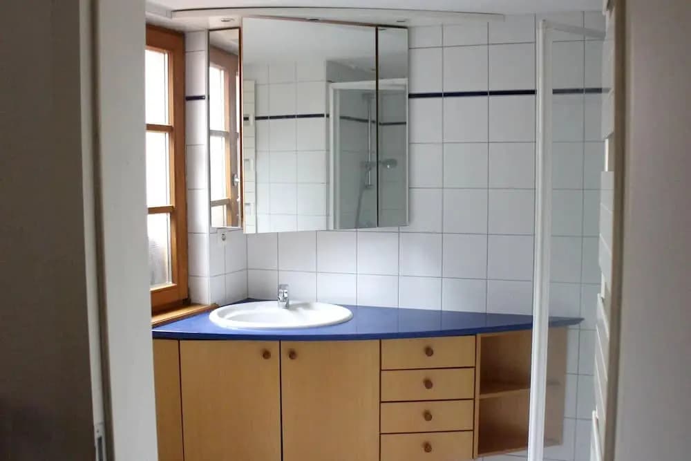 Apartment With 3 Bedrooms in Eguisheim, With Furnished Terrace and Wifi - 50 km From the Slopes - Miniature 7