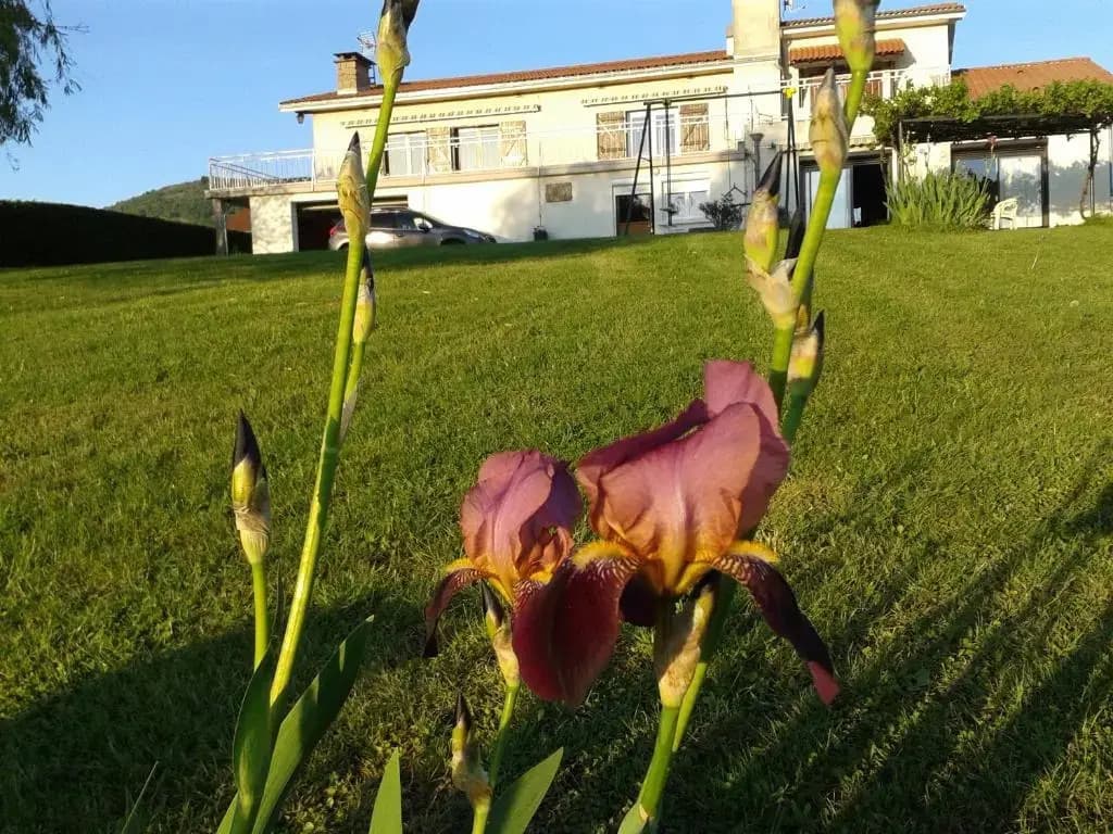 La Panoramique des Puys - Photo 5