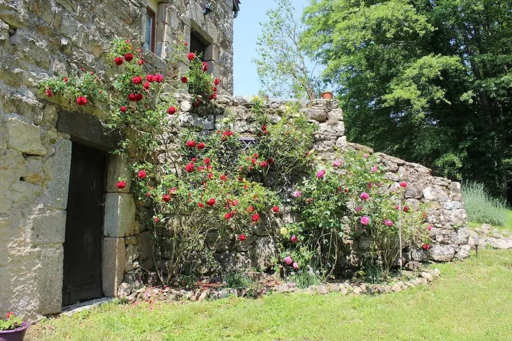 Le Bouchon De Campagne - Photo 3