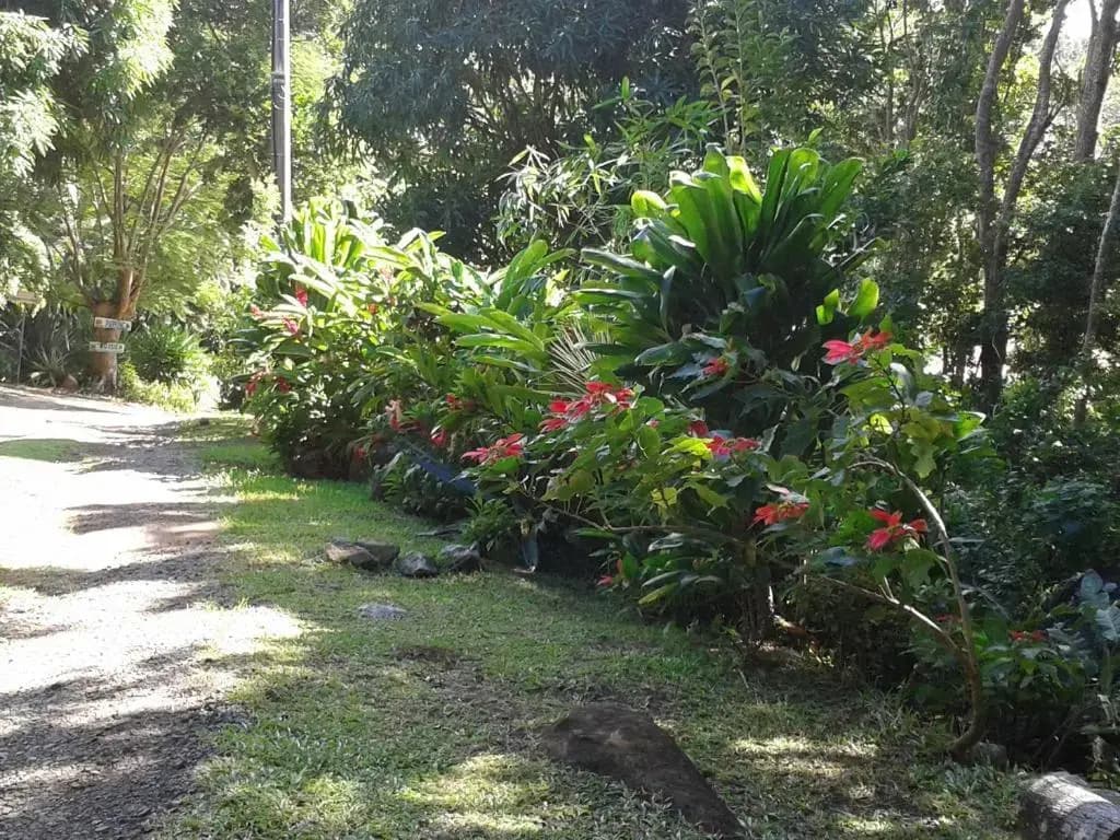 Laliwondaj KOTESI - Photo 1