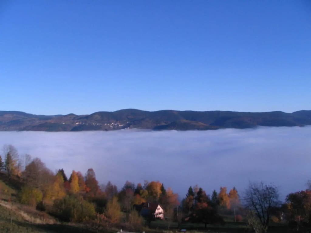 Auberge Obersolberg - Photo 5