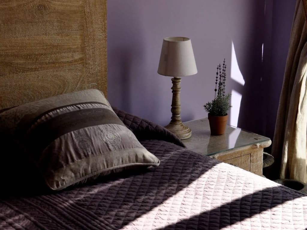 Les Palmiers Chambres d'Hôtes - Photo 3