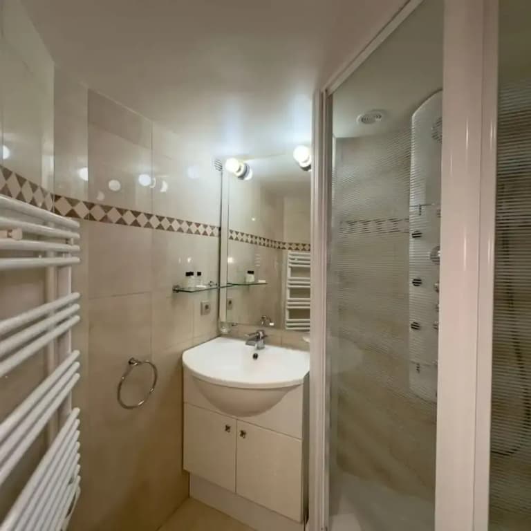 Charming Tuileries 1 Bed Apt in the Centre of Paris - Miniature 8