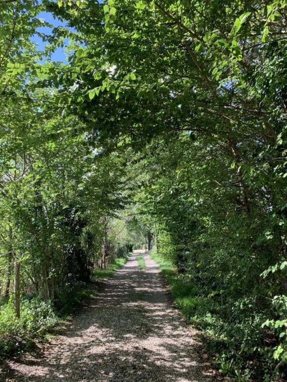 L'Orée de Giverny - Photo 4