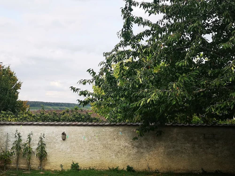 Le Temps D'une Pause à Boursault - Miniature 8