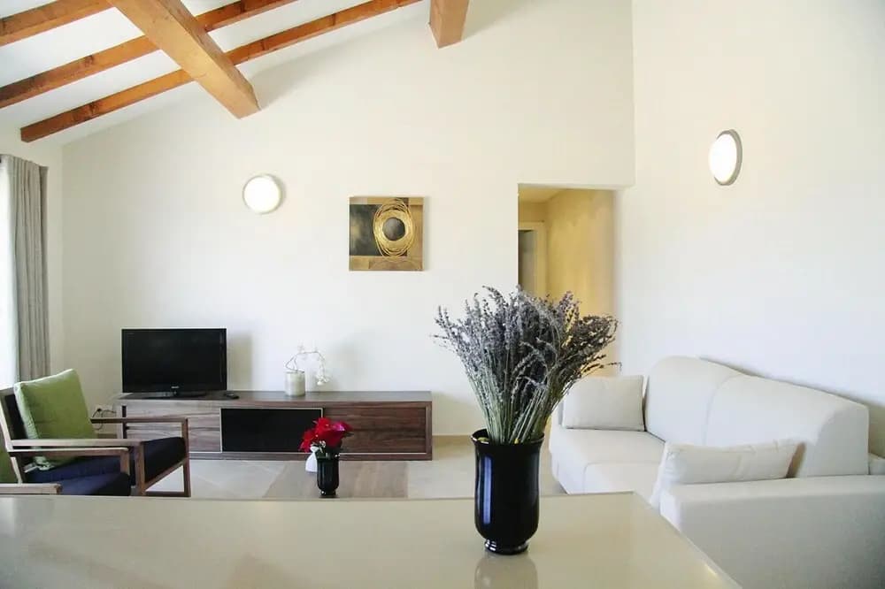 Apartment in Corsica Near Palombaggia Beach - Miniature 8