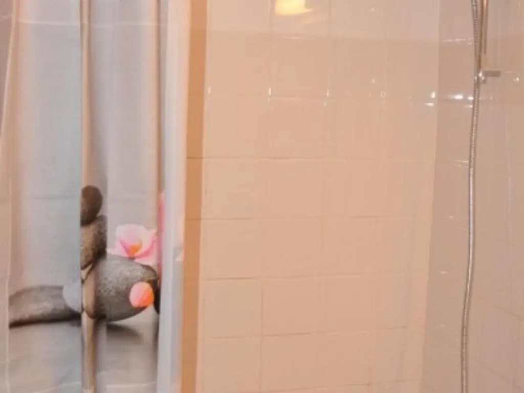 Appartement Le Pleynet, 1 pièce, 4 personnes - FR-1-557A-20 - Photo 5