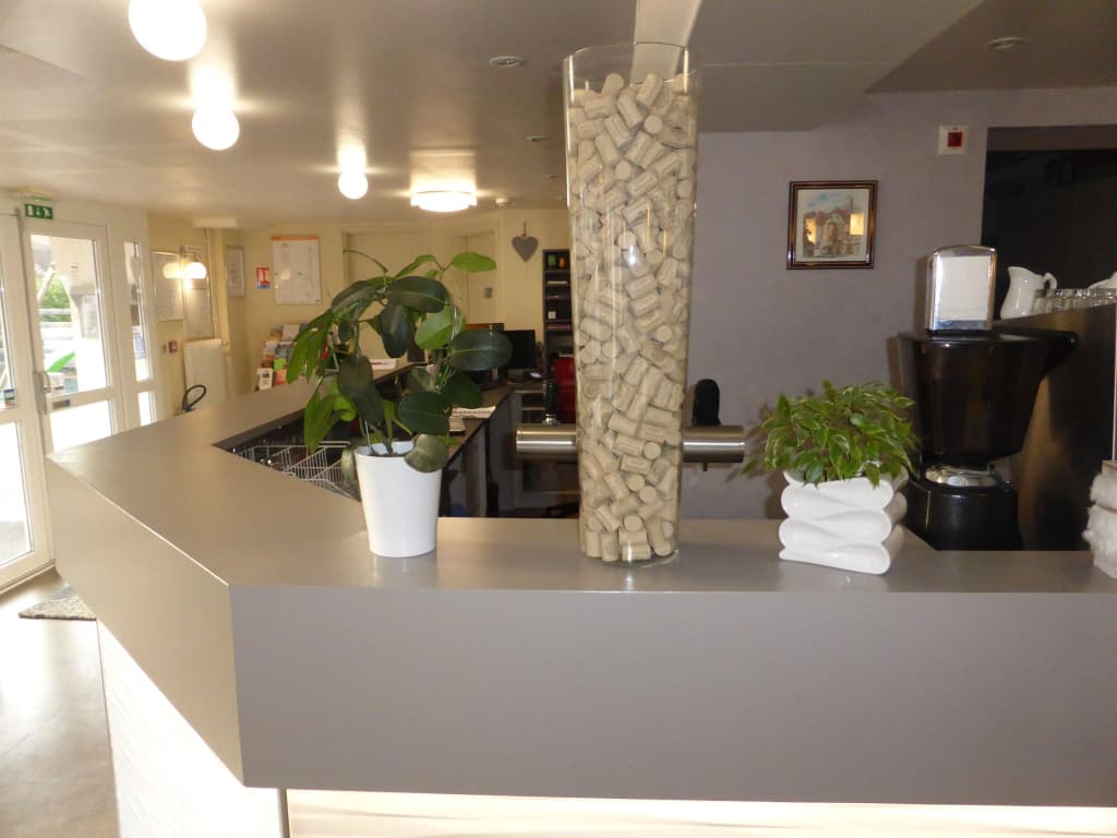 Hotel L'Oraye - Colmar Ouest - Photo 2