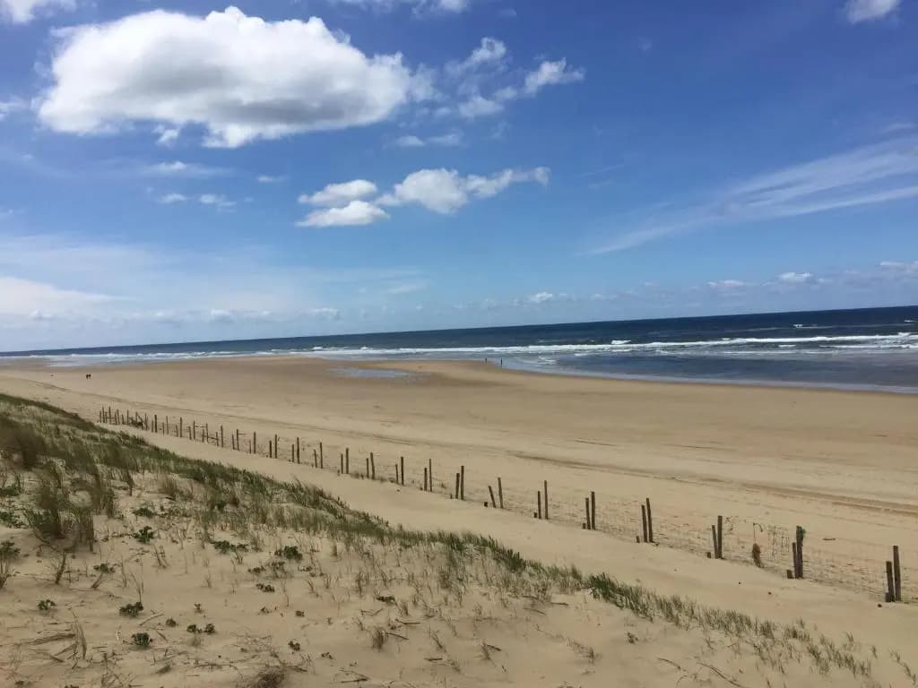 Etoile de Mer 5 - Photo 5