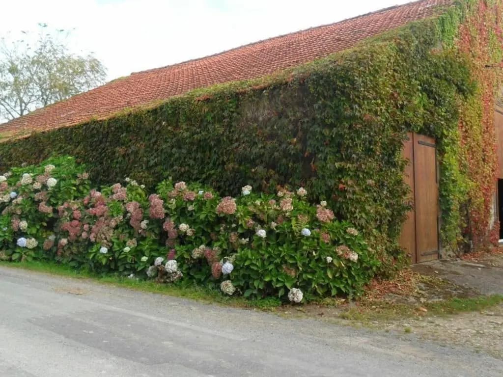Gîte Saint-Julien-des-Landes, 2 pièces, 3 personnes - FR-1-426-336 - Miniature 8