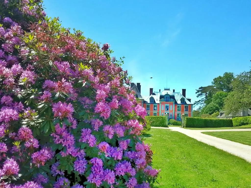 L'Orangerie - Photo 4