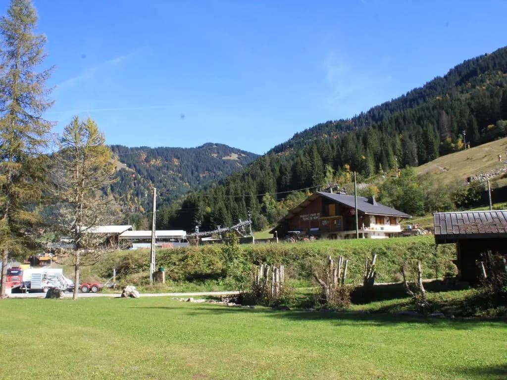 Appartement Châtel, 2 pièces, 4 personnes - FR-1-200-160 - Miniature 8