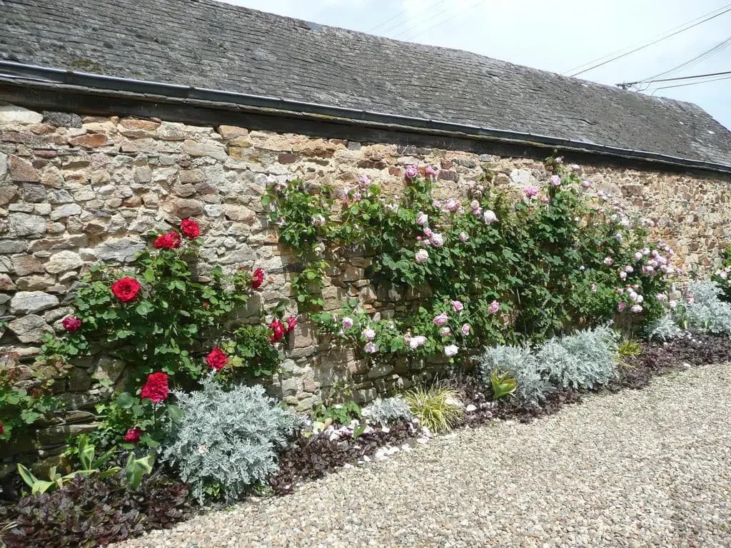 Manoir de la Pigeonnerie - Photo 1