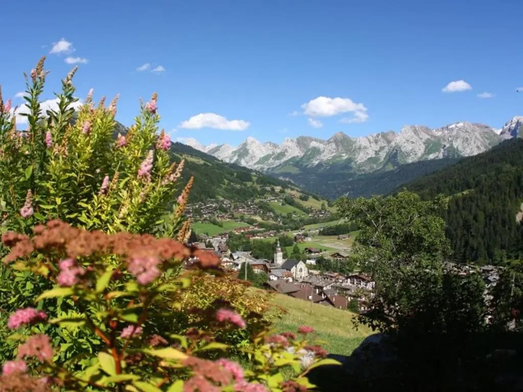 Appartement Le Grand-Bornand, 1 pièce, 3 personnes - FR-1-467-72 - Photo 4