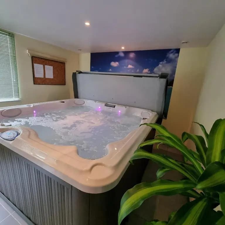 Gite Myosotis 2 personnes avec SPA - Photo 4