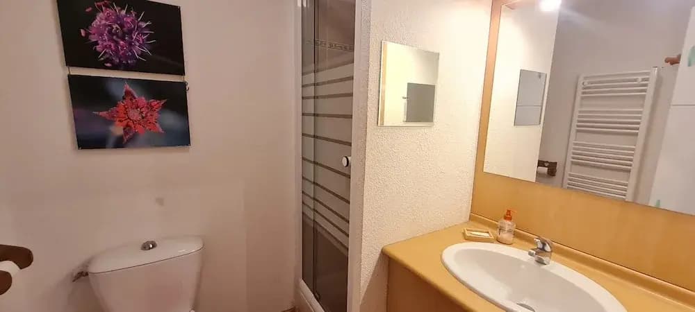 Apartment in France at Ski Slope's Foot - Photo 5