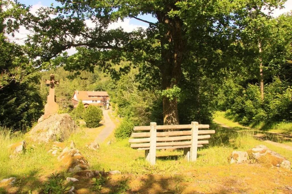 Chalet de 4 chambres avec jardin et wifi a Ban sur Meurthe Clefcy - Photo 4