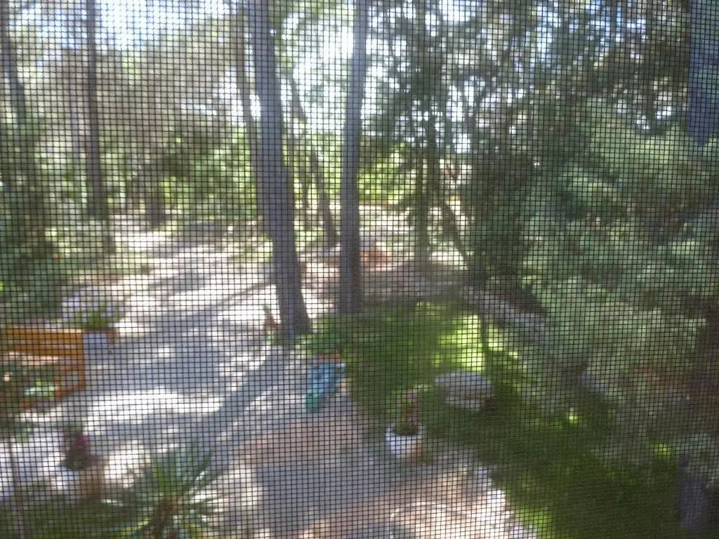 Villa Les Oliviers - Photo 5