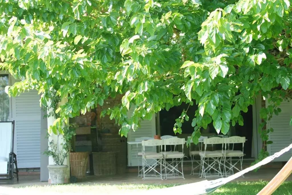 Le Mas des Vieux Muriers - Photo 4