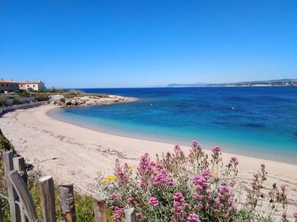 Appartement Six-Fours-les-Plages, 2 pièces, 4 personnes - FR-1-316-274 - Miniature 8
