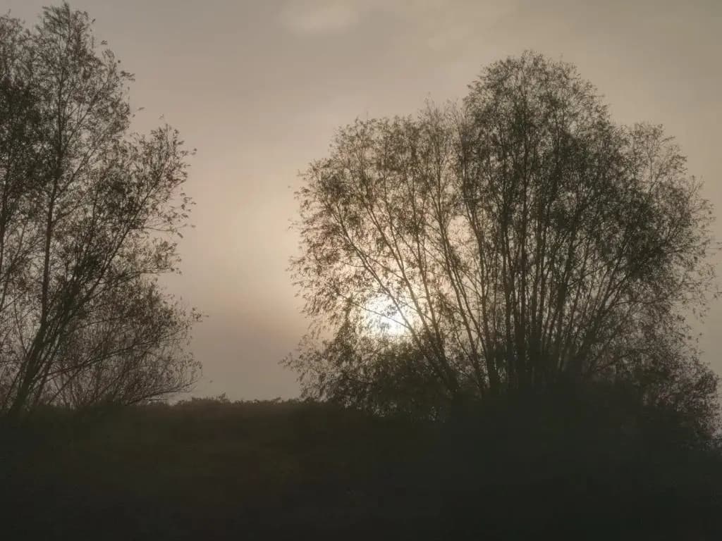 Le Temps d'une Escale à St Wary - Photo 5