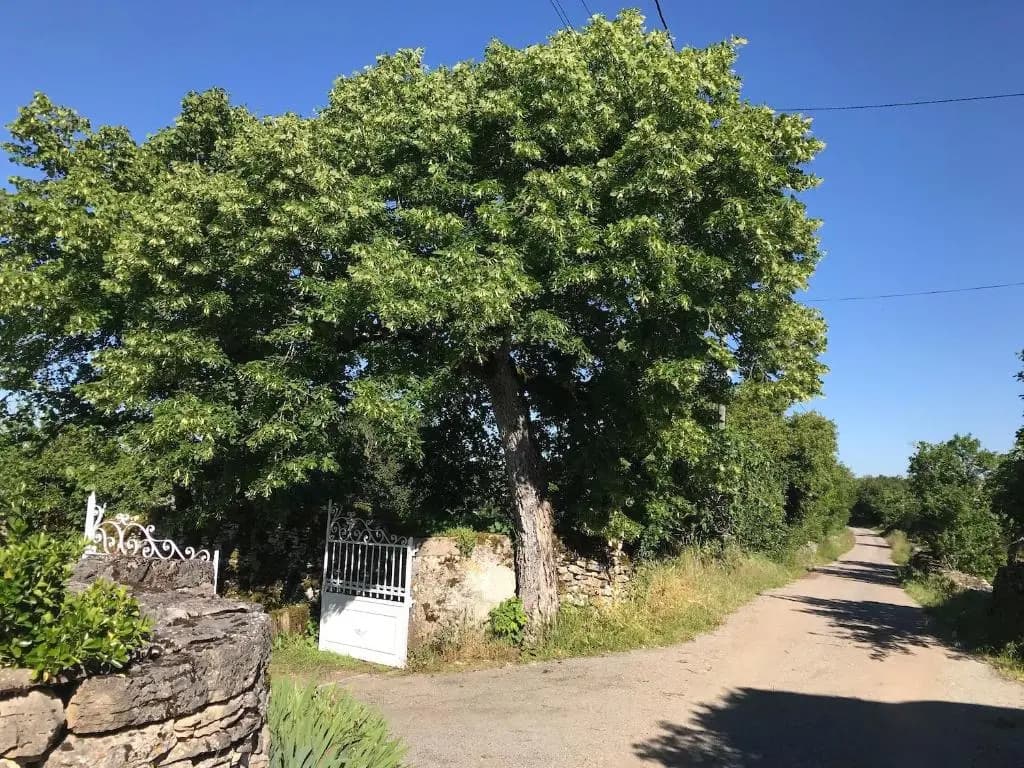 Chambres d'hôtes Pech Blanc - Photo 2