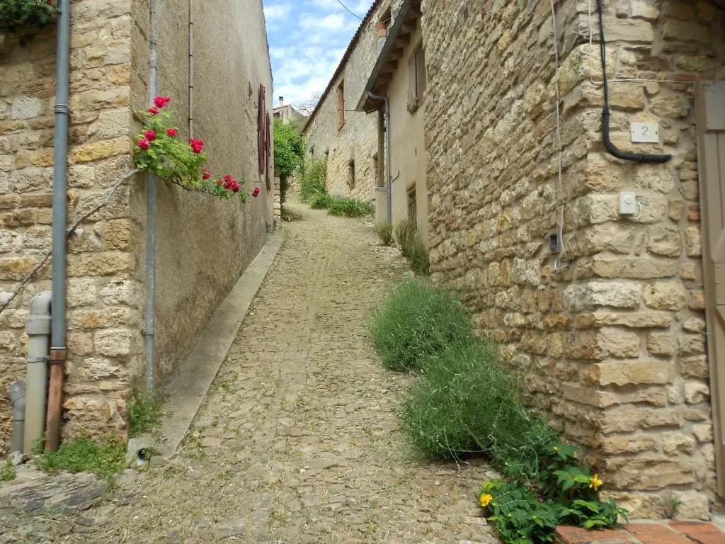 Rue du Barri - Photo 3
