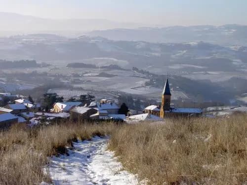 Domaine des Aloets - Photo 5