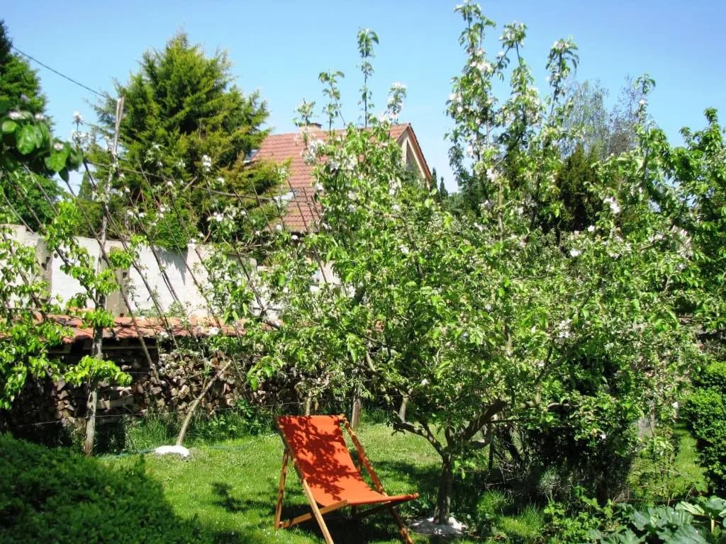Le temps des cigognes - Photo 1